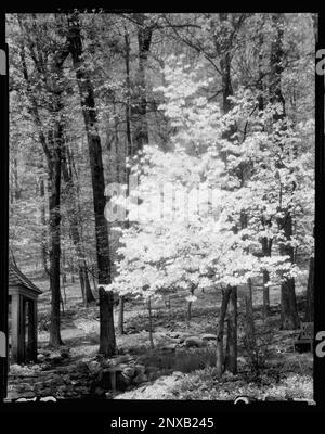 Lochiel, Gordonsville, Orange County, Virginia. Carnegie Survey of the Architecture of the South (Carnegie-Umfrage zur Architektur des Südens). Vereinigte Staaten Virginia Orange County Gordonsville, Estates. Stockfoto