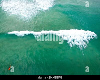 Luftaufnahme eines Surfers auf einem Surfbrett, der auf eine Welle wartet, Bondi Beach, Sydney, New South Wales, Australien Stockfoto