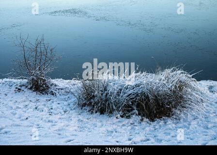 Schneebedeckte Ufer eines gefrorenen Sees Stockfoto