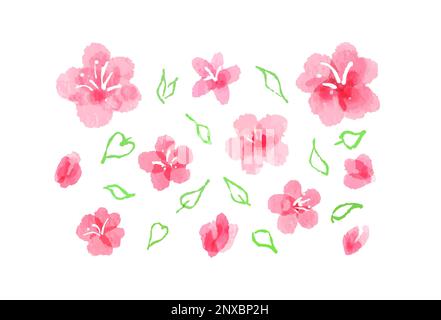 Aquarelle Sakurenblüte, Kirschblüten und Blätter Stock Vektor