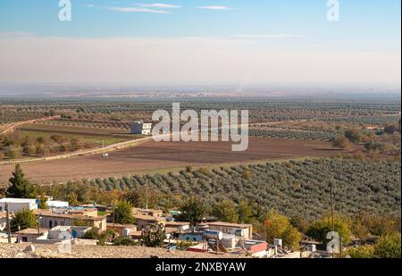 Landwirtschaftliche Flächen im ländlichen Teil von Kilis, Türkei. Olivenbaum- und Pistazienhaine und -Dörfer an der syrischen Grenze. Kilis, Trukey. Stockfoto