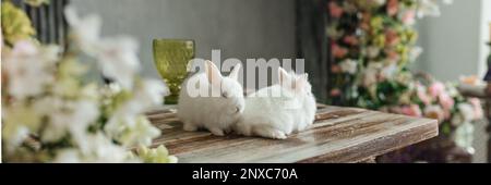 Eine Gruppe süßer Osterhasen auf dem Tisch im Wohnzimmer. Wunderschöne süße Haustiere Stockfoto