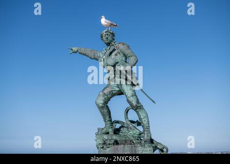 Statue des corsair Surcouf in Saint Malo mit einer Möwe auf dem Kopf, Frankreich Stockfoto