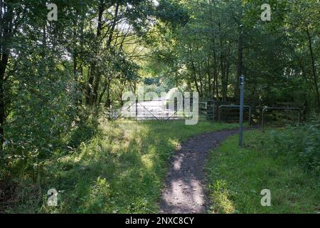 Croftamie, Stirlingshire, Schottland. 21. Juli 2014. Der John Muir Way geht durch ein Tor, um auf den West Highland Way Wanderweg zu gelangen. Stockfoto