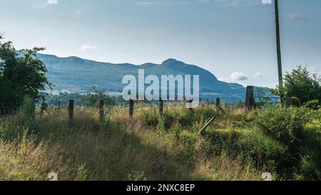 Blick auf Dumgoyne Hill und die Campsie Fells an einem sonnigen Sommermorgen, vom John Muir Way Wanderweg östlich von Croftamie, Stirlingshire. Stockfoto