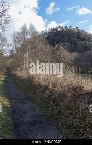 In der Nähe des Baumes bedeckte Dumgoyach Hill auf dem John Muir Way und West Highland Way gemeinsamen Pfad im Strathblane Valley, Central Scotland. Stockfoto