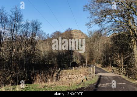 Dumgoyne Hill vom John Muir Way und West Highland Way in der Nähe des Dumgoyach Hill im Strathblane Valley, Central Scotland. Stockfoto