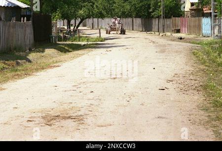 Silistea Gumesti, Teleorman County, Rumänien, ca. 1999. Ein einheimischer Mann, der in einem Pferdewagen die unbefestigte Dorfspur entlangfährt. Stockfoto
