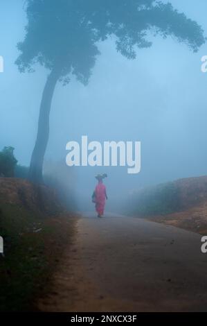 Sylhet, Bangladesch - 26. Dezember 2022: Neblig Winter Morgenblick in Sylhet, Bangladesch. Stockfoto