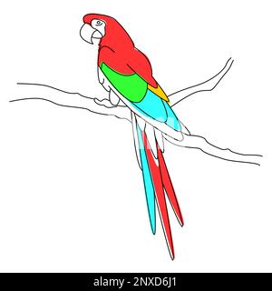 Einfache lineare Darstellung eines exotischen tropischen Vogels. Mehrfarbiger Ara-Papagei, der auf einem Ast sitzt. Symbol, Element, Clipart, Objekt für CO der Kinder Stock Vektor