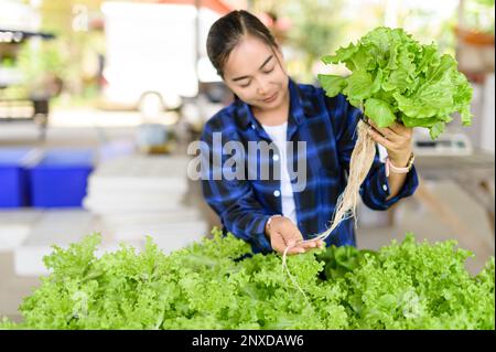 Eine junge Landwirtin steht auf einem üppigen grünen Feld und hält einen Salatkopf auf einem Tisch Stockfoto