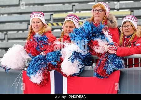 Planica, Slowenien. 01. März 2023. Skipisten: Weltmeisterschaft, kombiniert - Team, Langlauf - 20 km, Männer. Fans aus Norwegen sehen sich die Blumenzeremonie nach dem Sieg des norwegischen Staffelteams an. Kredit: Daniel Karmann/dpa/Alamy Live News Stockfoto