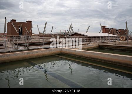 Nicolas Remene / Le Pictorium - Wasseraufbereitungsanlage für den Fluss Kabala Niger. - 19/5/2021 - Mali / Bamako District / Bamako - Blick auf den 'Sand filt Stockfoto
