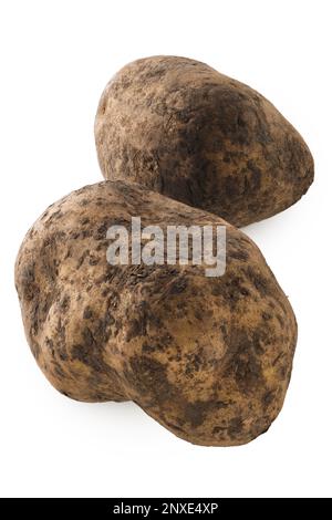 Ungewaschene Kartoffeln, isoliert auf weißem Hintergrund Stockfoto