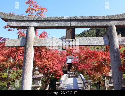 Herbstblätter, eine Brücke und Stein Torii (mit dem Namen gottes) im Garten des Eikando Tempels, Kyoto, Japan Stockfoto