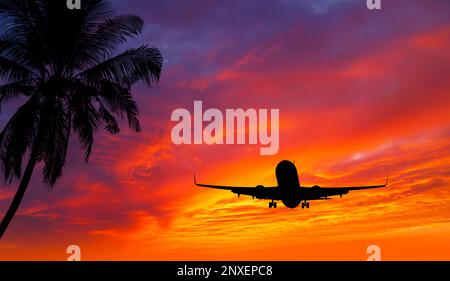 Passagierflugzeug im Anflug zur Landung mit wunderschönem Sonnenuntergang und tropischen Bäumen und Pflanzen. Stockfoto