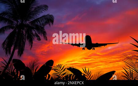 Passagierflugzeug im Anflug zur Landung mit wunderschönem Sonnenuntergang und tropischen Bäumen und Pflanzen. Stockfoto