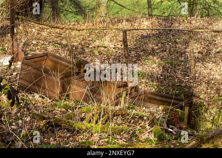 Alte verrostete Bergbaulaster aus einer Gipsgrube, die in einem Garten im Tempel Sowerby Cumbria vergraben wurde Stockfoto