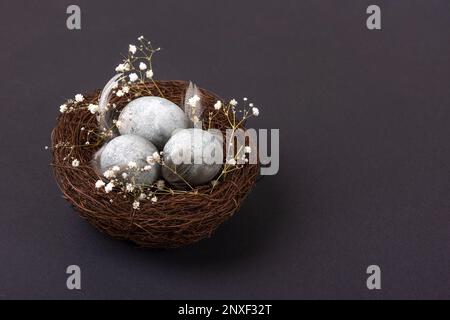 Braunes Zweignest mit drei grauen Ostereiern, Federn und Zweigen von Zigeunern auf schwarzem Hintergrund. Minimalistisches Osterkonzept Stockfoto