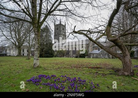 Tavistock Parish Church Saint Eustachius Devon aus dem Jahr 1318 Stockfoto