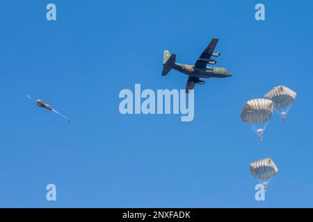 Ein Fallschirmjäger der britischen Armee von der 16. Luftangriffsbrigade (links) springt aus einer Japan Air Self-Defense Force C-130H Hercules, die der 401. Taktischen Luftwaffenstaffel, Komaki Air Base, mit den USA zugeteilt ist Fallschirmjäger der 82. Luftwaffe während des jährlichen Neujahrssprungs im Camp Narashino, Chiba, Japan, am 8. Januar 2023. Etwa 200 Fallschirmjäger sprangen in einer multilateralen Zusammenarbeit der USA aus mehreren Flugzeugen Luftwaffe, USA Armee, britische Armee, australische Armee und japanische Bodenschutztruppen. Stockfoto