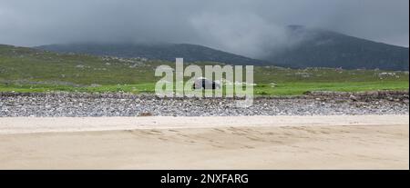 Mol Tiacanais Beach, Mealasta, Lewis, Isle of Lewis, Hebriden, Äußere Hebriden, Westliche Inseln, Schottland, Großbritannien, Großbritannien Stockfoto