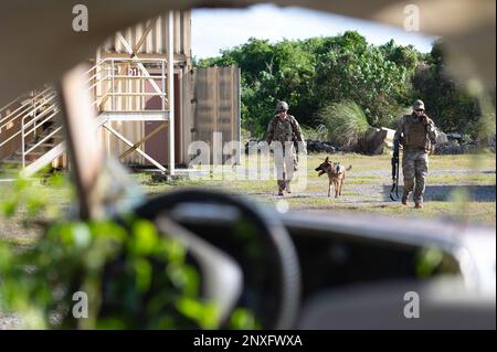 USA Air Force Staff Sgt. Alexander O'Brien, 36. Security Forces Squadron, militärischer Hundeführer, geht mit seinem MWD, Bbath Seba, während Pacific Defender im Pacific Regional Training Center-Andersen, Guam, 24. Januar 2023. Die MWDs durchliefen verschiedene Übungen, um Massengeruch, abmontierte und montierte Taktiken, Räumungsarbeiten, Feuerwehr und Wasservertrauen zu berücksichtigen. Stockfoto