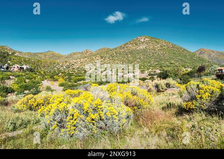 Die Jemez Mountains in Los Alamos, New Mexico, USA Stockfoto