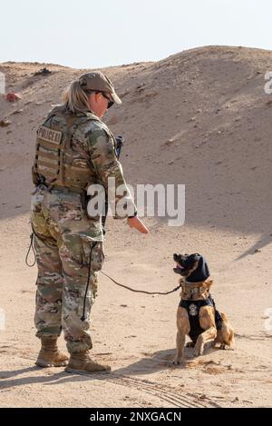 USA Air Force Staff Sergeant Jordan Courtney, 378. Expeditionary Security Forces Squadron K9 Handler, trainiert Mirco, ihren militärisch arbeitenden Hund, auf einem Schießstand auf dem Prince Sultan Air Base, Königreich Saudi-Arabien, 21. Januar 2023. K9 die Verteidiger und ihre Betreuer müssen gemeinsam im Umgang mit Feuerwaffen trainieren, um in stressigen realen Situationen eine sichere Interoperabilität zu gewährleisten. Stockfoto