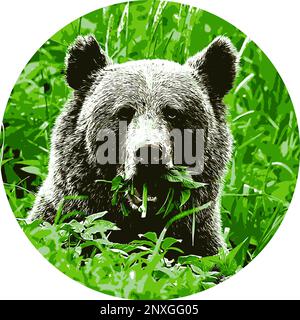 Nahaufnahme eines Bärenkopfes, der Kräuter auf einer Wiese isst. Bild des kreisförmigen Logos. Stock Vektor