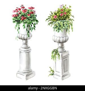 Gartendekoratives Marmorblütenset, Landschaftsdesign-Element, handgemalte Aquarellzeichnung isoliert auf weißem Hintergrund Stockfoto