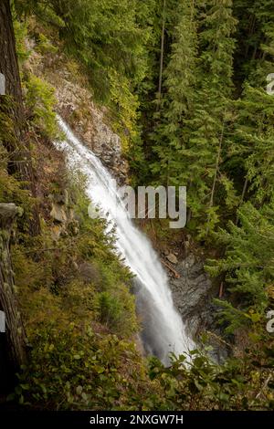 WA23147-00...WASHINGTON - Middle Wallace Fall, einer der drei größten Wasserfälle im Wallace Falls State Park. Stockfoto