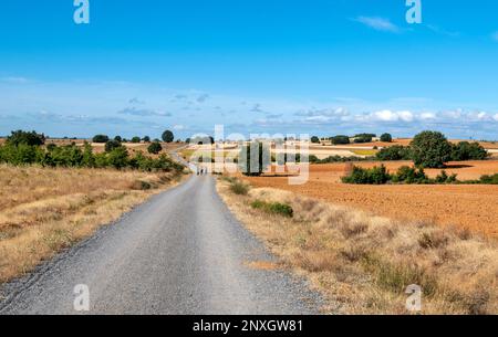 Pilger, die durch die trockene Baronlandschaft auf dem Jakobsweg wandern, dem französischen Weg im Norden Spaniens Stockfoto