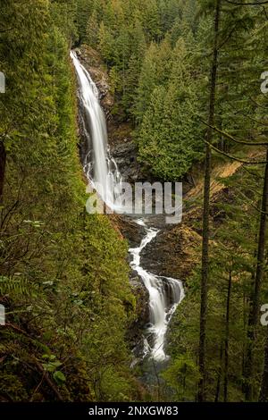 WA23149-00...WASHINGTON - Middle Wallace Falls, einer von drei großen Wasserfällen im Wallace Falls State Park in der Nähe der Gold Bar. Stockfoto