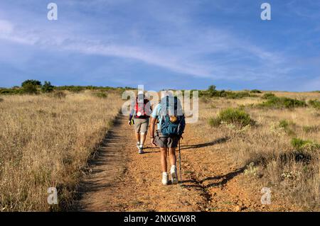 Pilger, die durch die trockene Baronlandschaft auf dem Jakobsweg wandern, dem französischen Weg im Norden Spaniens Stockfoto