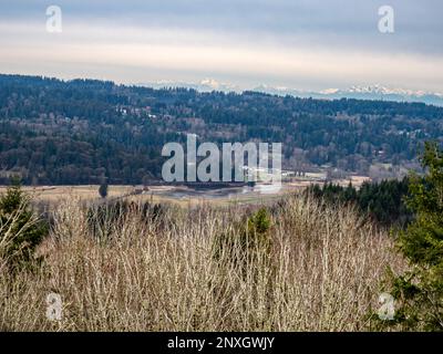 WA23165-00...WASHINGTON - überflutete Felder entlang des Snohomish River mit Blick auf die Olympic Mountains im Lord Hill Regional Park. Stockfoto