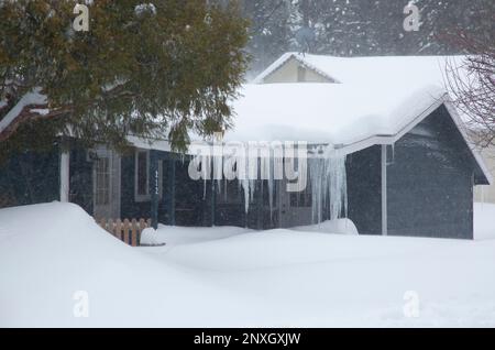 Big Bear City, Kalifornien, USA. 1. März 2023. Big Bear City erhielt letzte Nacht am 28. 2023. Februar 2ft km Schnee. Das ist ein Bild von einem Haus, das am Morgen des 1. 2023. März eingeschneit ist. Die Eiszapfen sind etwa 6ft mm lang. Kredit: Katrina Kochneva/ZUMA Wire/Alamy Live News Stockfoto