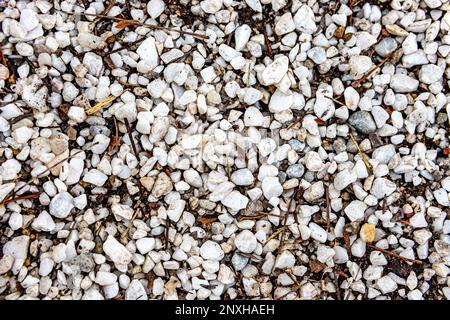 Blick von oben auf Holzstäbe von Zweigen zwischen kleinen weißen Steinen auf dem Boden in einem Garten, unebene Oberfläche des natürlichen Erdgeschosses einer Terrasse Stockfoto