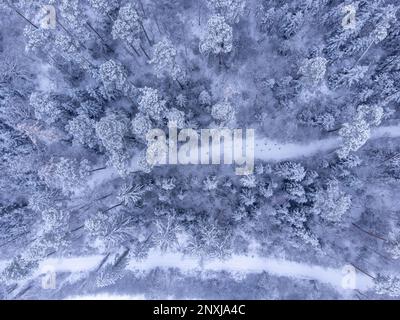 Luftaufnahme einer frostigen Landschaft von oben Stockfoto