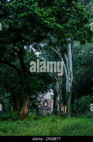 Naturbild der Stadt Dhaka in Bangladesch. Ein paar Vögel auf einem Baum. Stockfoto