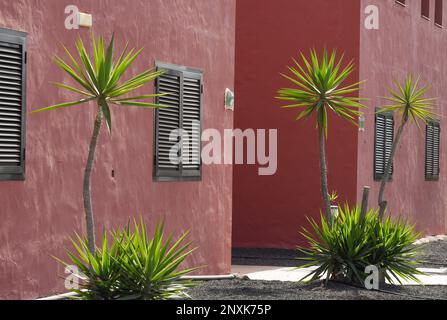 Ferienwohnungen in Corralejo, Fuerteventura Stockfoto