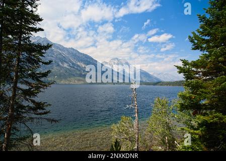 Jenny Lake im Grand Teton National Park mit Mt. Moran erhebt sich im Hintergrund in der Mitte Stockfoto