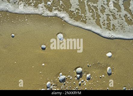 Meeresschaum und weiße Kieselsteine unterschiedlicher Größe auf dem nassen Sand am Ufer des Ligurischen Meeres bei Pisa in Italien Stockfoto