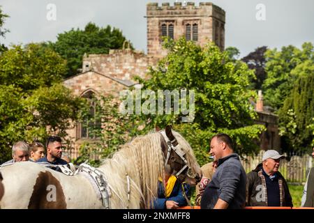 Ein glücklicher Mann, der einem Pferd den Kopf zustellt und das Pferd auf der Appleby Horse Fair Cumbria anlächelt. Die Appleby-Kirche im Hintergrund und andere Männer, die zuschauen. Stockfoto
