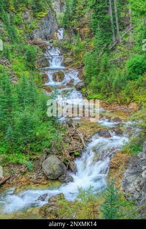 Taylor fällt auf Taylor Creek im Bereich von Madison südlich von big Sky in montana Stockfoto