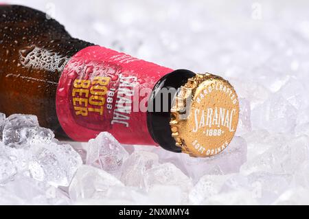 IRIVNE, KALIFORNIEN - 01. MÄRZ 2023: Nahaufnahme einer Flasche Saranac 1888 Root Beer, handgefertigte Limonade in einem Bett aus Eis. Stockfoto