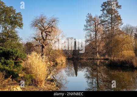 Die japanische Garteninsel im Regent's Park Inner Circle an einem sonnigen Februar-Tag in London, England Stockfoto