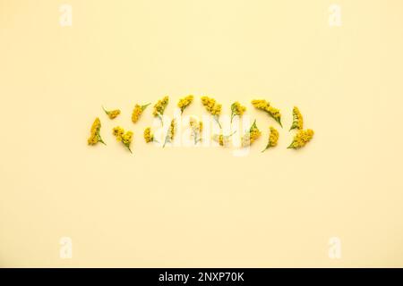 Komposition mit schönen Mimosablüten auf gelbem Hintergrund Stockfoto