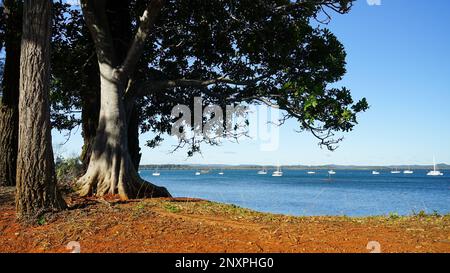 Sehen Sie vorbei an Bäumen, die am Ufer der Redland Bay wachsen, Boote in der mittleren Entfernung und südliche Moreton Bay Inseln am Horizont. Stockfoto