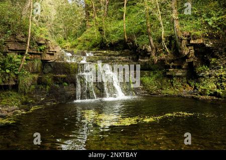 Wasserfall in Ash Gill, einem Nebenfluss des Flusses South Tyne, in Ashgill Force Garrigill, Cumbria Stockfoto